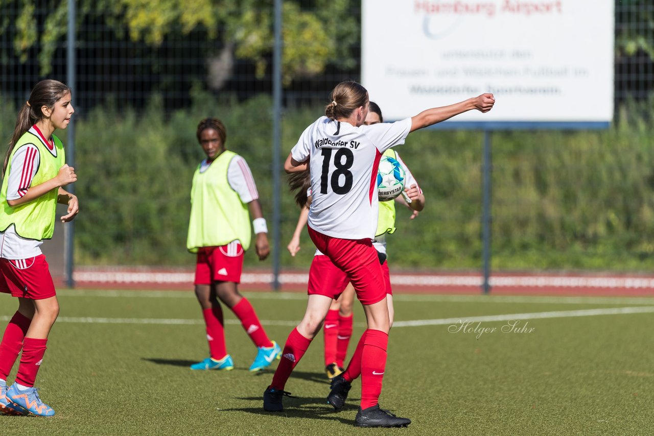 Bild 97 - wCJ Walddoerfer - Concordia : Ergebnis: 0:1